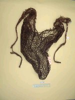 藏品(網袋)的圖片